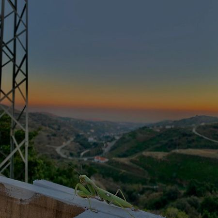 Casa Rural Malaga Monkey Love Con Jacuzzi Иснате Экстерьер фото